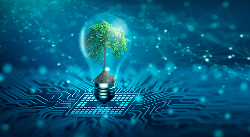 Sustainable Packaging Technology